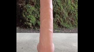Zorrita se sienta en su dildo como toda una puta.